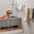 Essential Support for Bathing and Grooming at Home