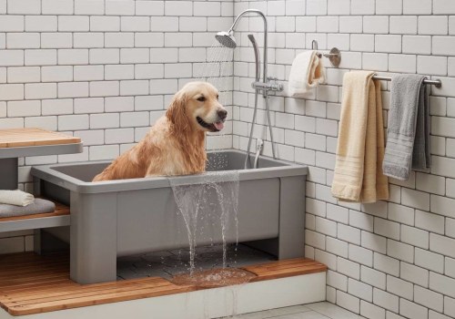 Essential Support for Bathing and Grooming at Home